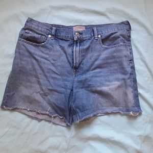 Everlane denim cut off shorts